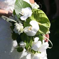Svatební kytice BÍLÉ KALY